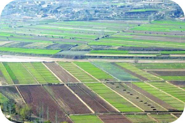 惠州市惠城区横沥镇高标准农田建设项目